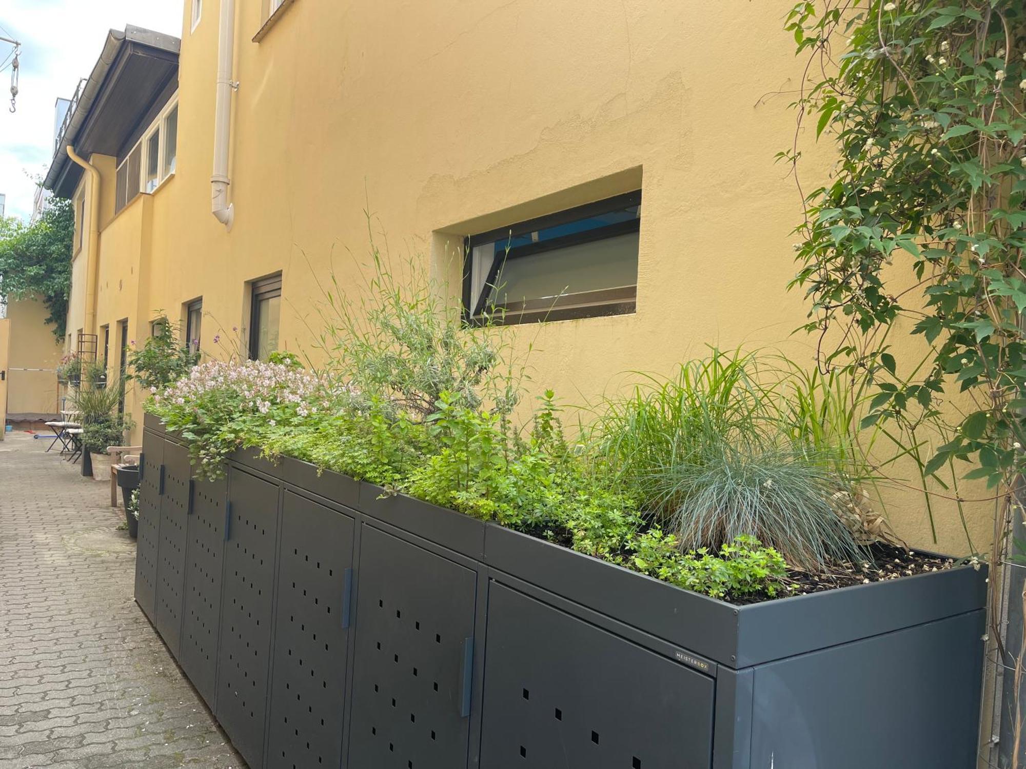 Ostsee Ferienwohnung Moewengasse Lübeck Kültér fotó